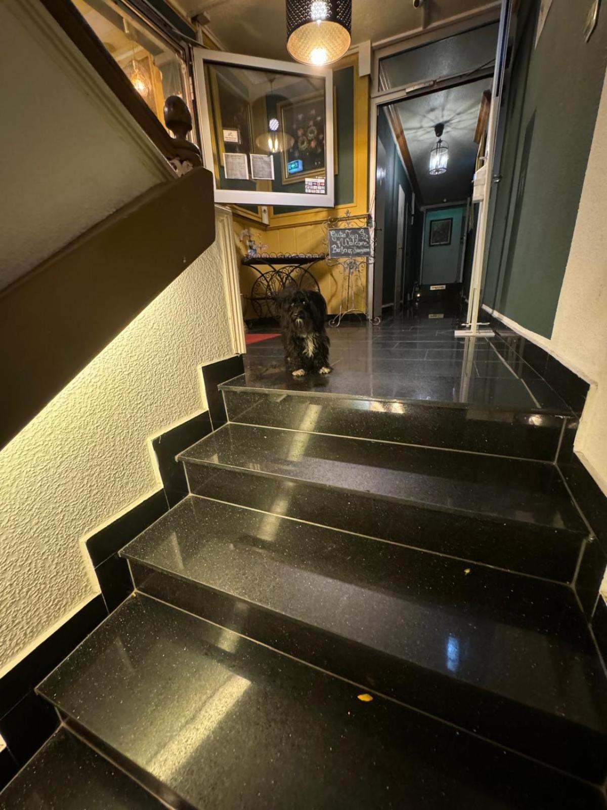 Hotel Drei Kronen Dortmund Exteriér fotografie